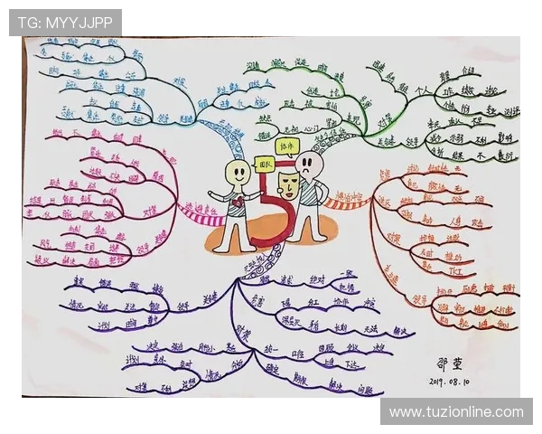 西安羽毛球队团队协作表现的数据分析与提升策略探讨
