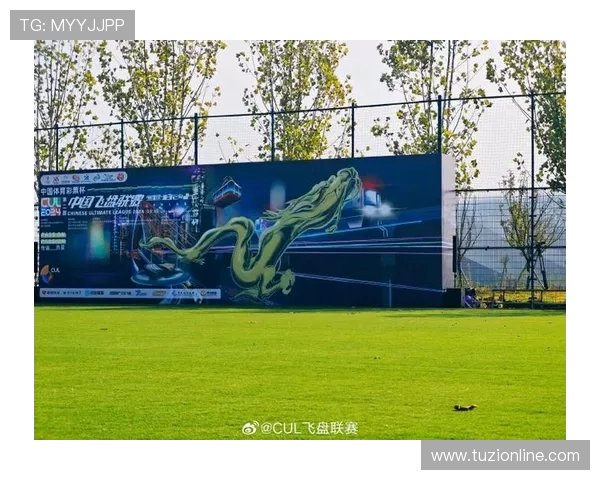 西安飞盘队荣登全国飞盘技术排行榜第十名展现实力与潜力